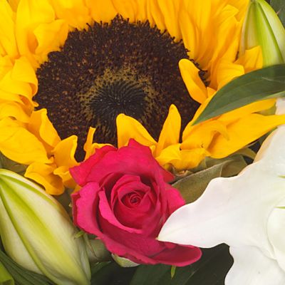 Sunflower Delight