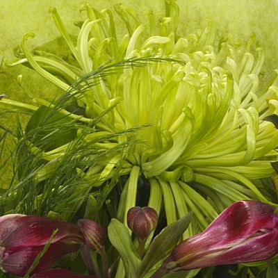 Jazzy Hand  tied
