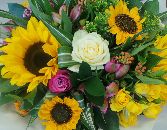 Sunflower Surprise