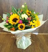 Sunflower Surprise