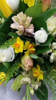 Fragrant Spring